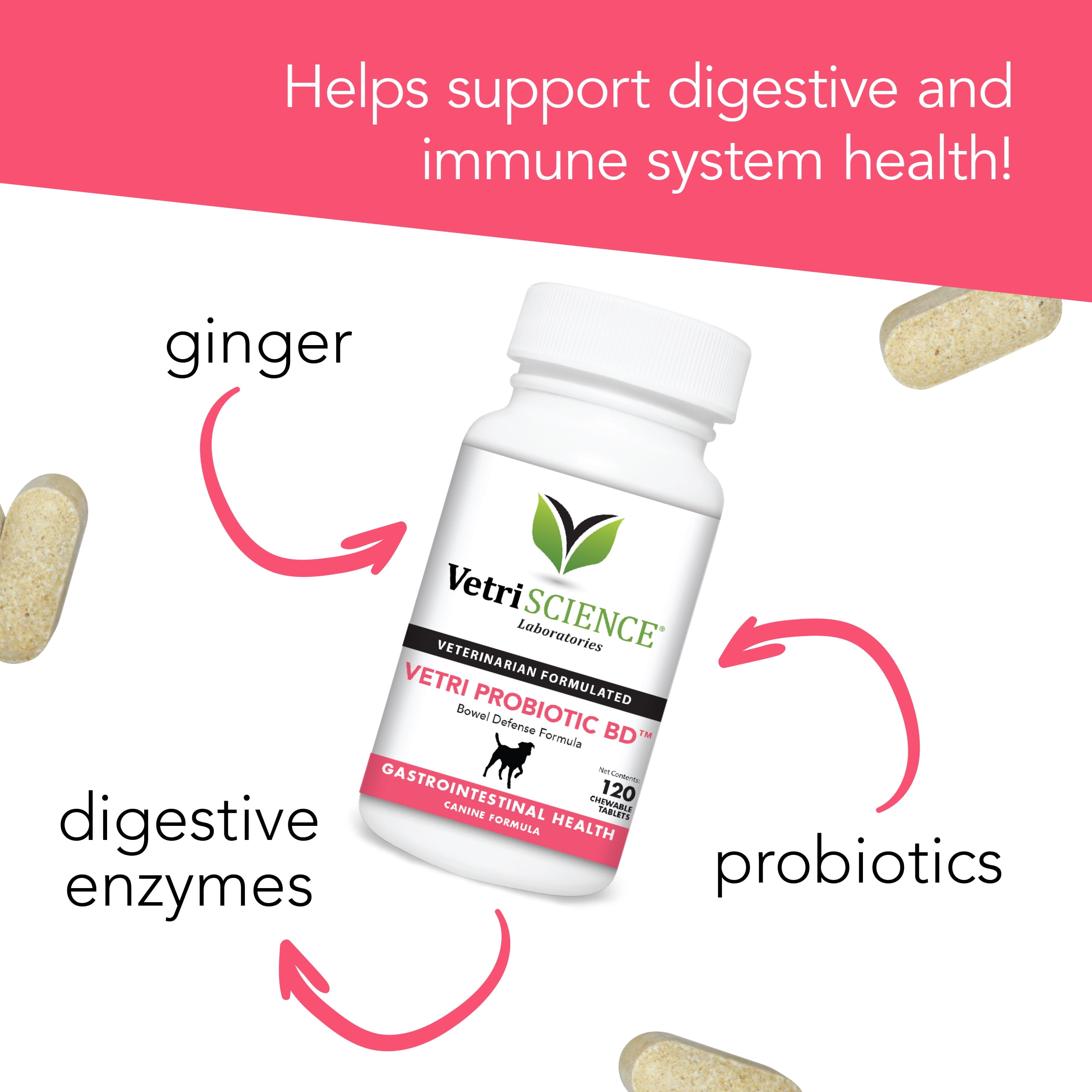VetriScience Laboratories Vetri Probiotic BD, Digestive Health for Dogs, Chicken Flavor, 120 Tablets