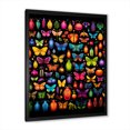 thumbnail image 2 of Designart "Collage of Colorful Insects and Bugs II" Animals Framed Wall Art - Modern Colorful Insects & Bugs Bedroom Framed Canvas Wall Art, 2 of 6