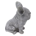 thumbnail image 4 of Estatuas de jardín para perros Jadeshay Resina, 4 of 8