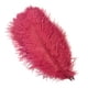 thumbnail image 3 of 10 piezas/lote de plumas de avestruz naturales de color rosa rojo para manualidades, decoración de bodas, fiestas, accesorios, centro de mesa, carnaval, 3 of 5