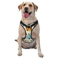 thumbnail image 1 of Balery Butterflies Arnés para Perros Grandes Antitirones, Arnés con Correa para Gato, Arnés Tipo Chaleco para Perros Pequeños-Medium, 1 of 6