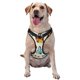 thumbnail image 1 of Balery Butterflies Arnés para Perros Grandes Antitirones, Arnés con Correa para Gato, Arnés Tipo Chaleco para Perros Pequeños-Medium, 1 of 6