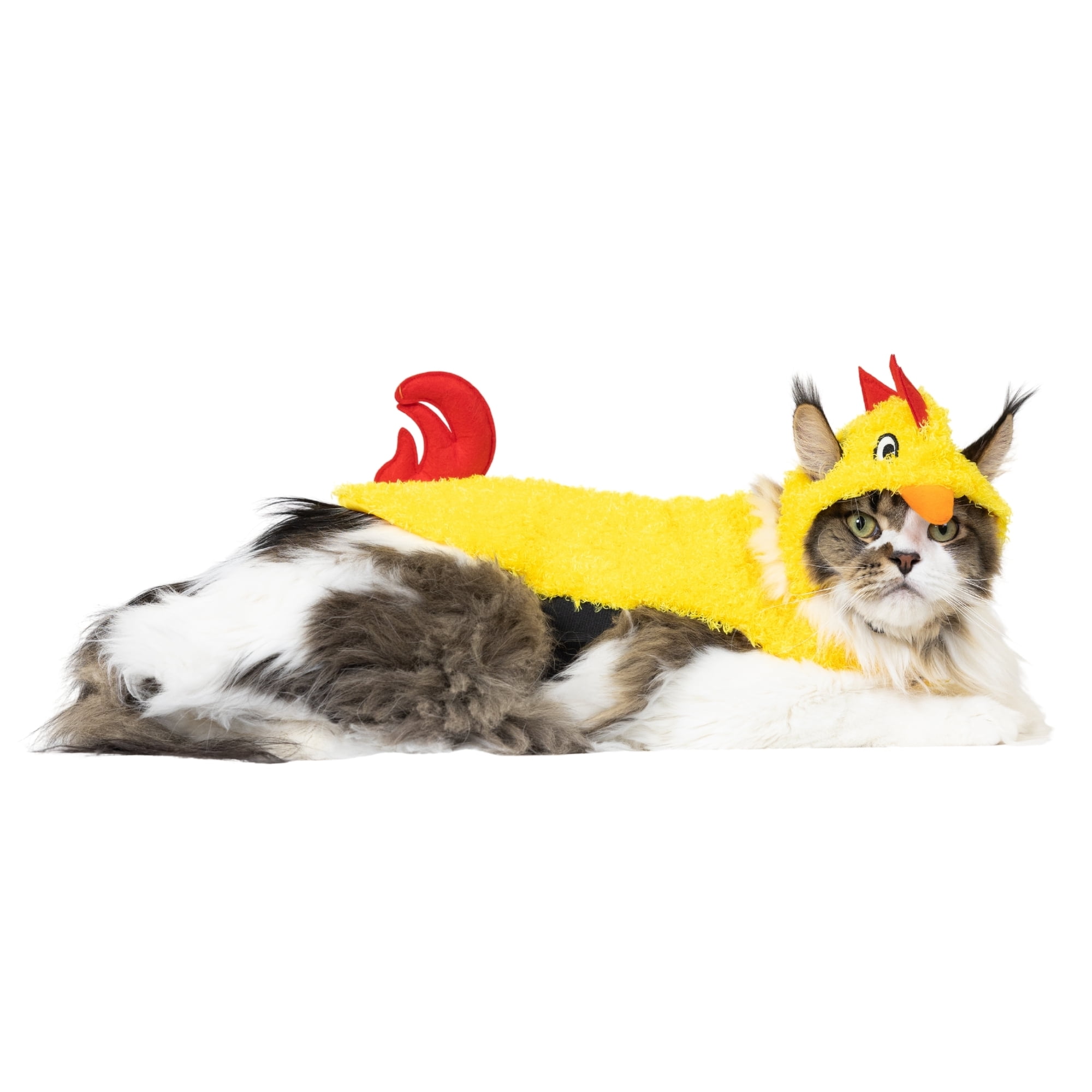 Vibrant Life Halloween Costume for Dogs & Cats, Chicken, Yellow, Extra Small