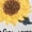 White, variant on White Print Tshirt Graphic Tees Shirts Peace Love Sunflowers Leopard Heart All Season Casual Comfort Tops S-5XL Tops