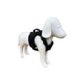 thumbnail image 2 of Pechera para mascota Infanti Pets negra mediana, 2 of 5