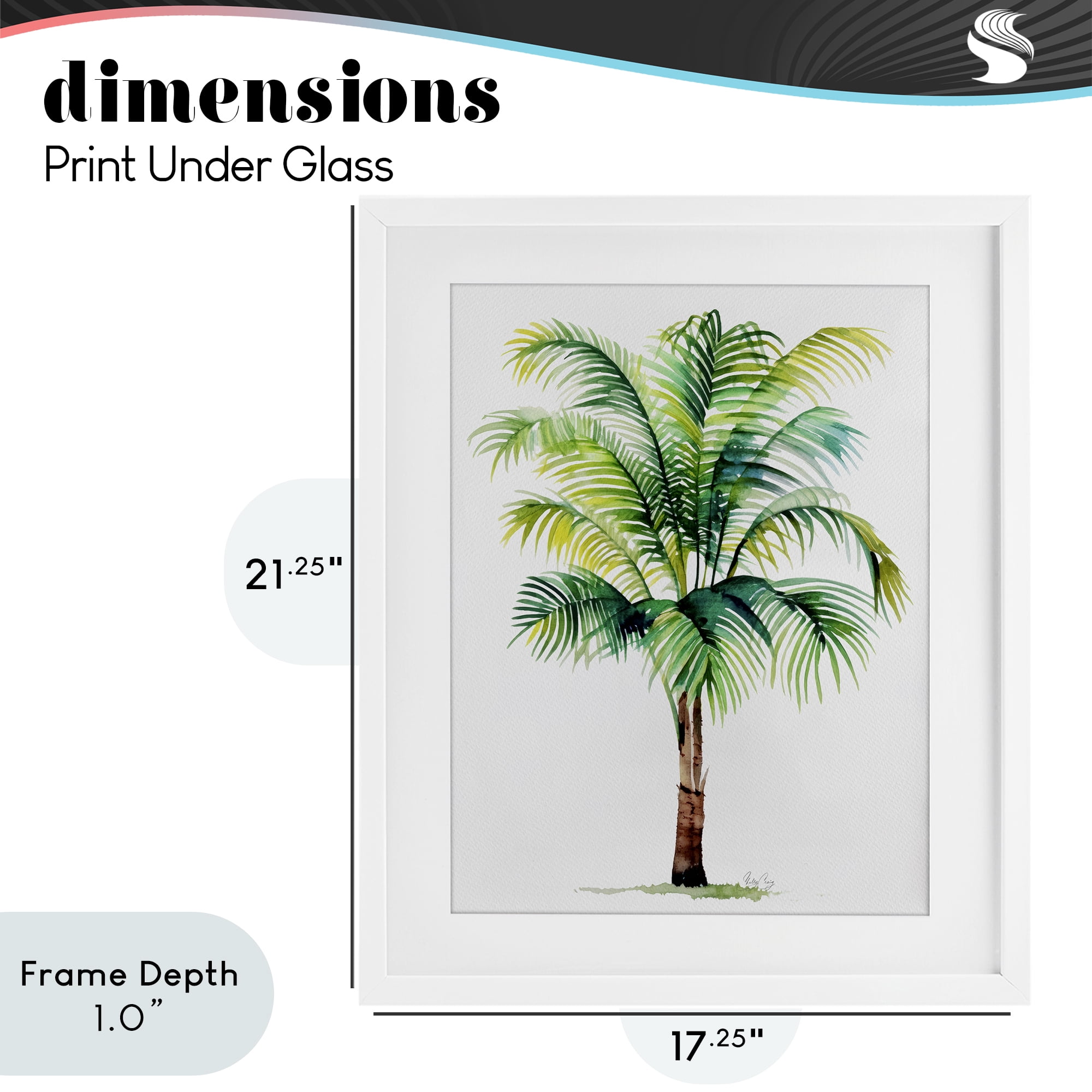 Stupell Industries Breezy Fronds Palm White Framed Print Under Glass, design by Shelly Craig