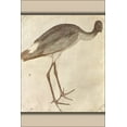 thumbnail image 1 of 24"x36" Gallery Poster, Storch by Pisanello 1440, 1 of 1
