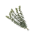 thumbnail image 1 of Bearachild Ramo de hojas de eucalipto de tallos artificiales, 10 Uds., accesorios para fotos realistas, rama, Navidad, hogar, jardín, granja, Decoración Verde Gris, 1 of 6
