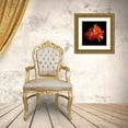 thumbnail image 3 of Reynolds, Richard 20x20 Gold Ornate Wood Framed with Double Matting Museum Art Print Titled - Tropical Hibiscus ~ Double Orange, 3 of 4