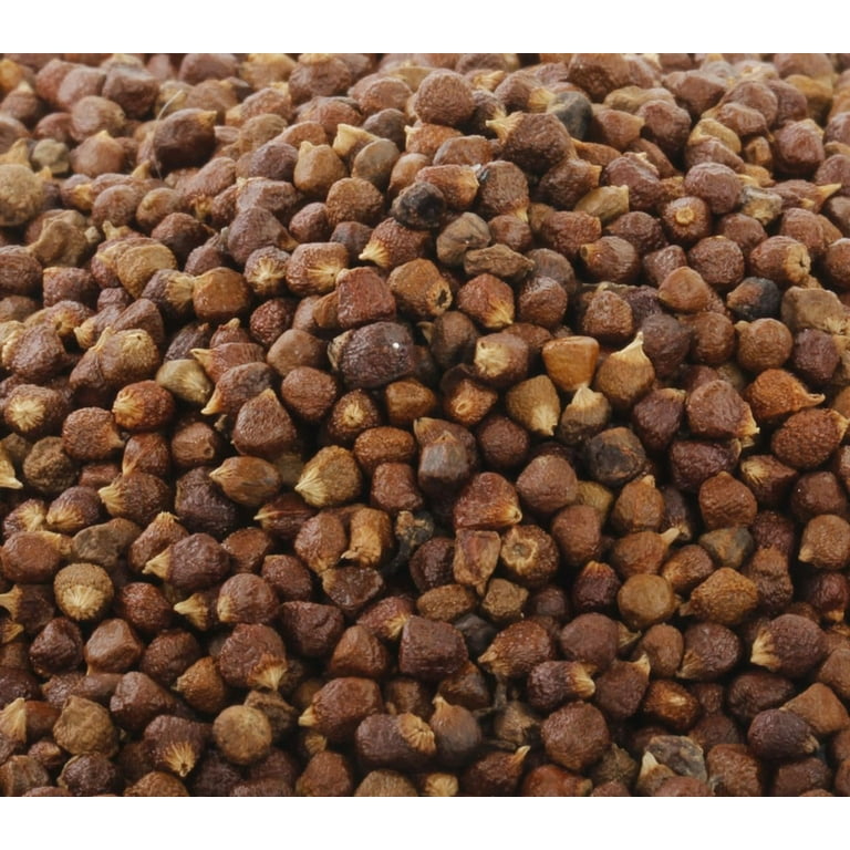 olivenbaum moufla Olivenbaum "Maurino" +/- 140 cm (Beispielfoto) 4-6 Lt. Topf