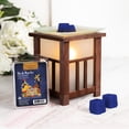 thumbnail image 2 of ScentSationals, Scented Wax Cubes, Dia De Muertos, 2 of 4
