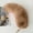 Brown, variant on Tail 12.2 inch Tail Shaggy Faux Fur Tail Keychain Decorative Tail for Handbag Backpack,White