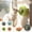 Cyan, variant on Cat Mint Ball Toy, Cat Treat Chew Ball, Cat Chew Toy For Teething - Self-Rotating Wall-Sticking Self-Entertaining To Relieve Boredom, Interactive, Chewing & Teething, Cat
