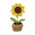 thumbnail image 5 of 2 Pieces Handmade DIY Beginner Crochet Small Pot Crochet Craft Set Including Style A, 5 of 8