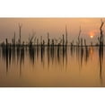 thumbnail image 3 of Haaksma, Piet 24x17 Black Modern Framed Museum Art Print Titled - Drowned Forest ..........., 3 of 5