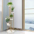 thumbnail image 2 of Costway 4-Tier Metal Plant Stand 49.5" Tall Potted Planter Display Shelf Storage Rack White, 2 of 10