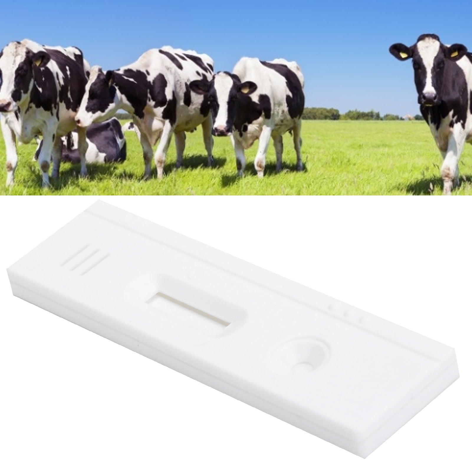 Pregnancy test for cattle 
