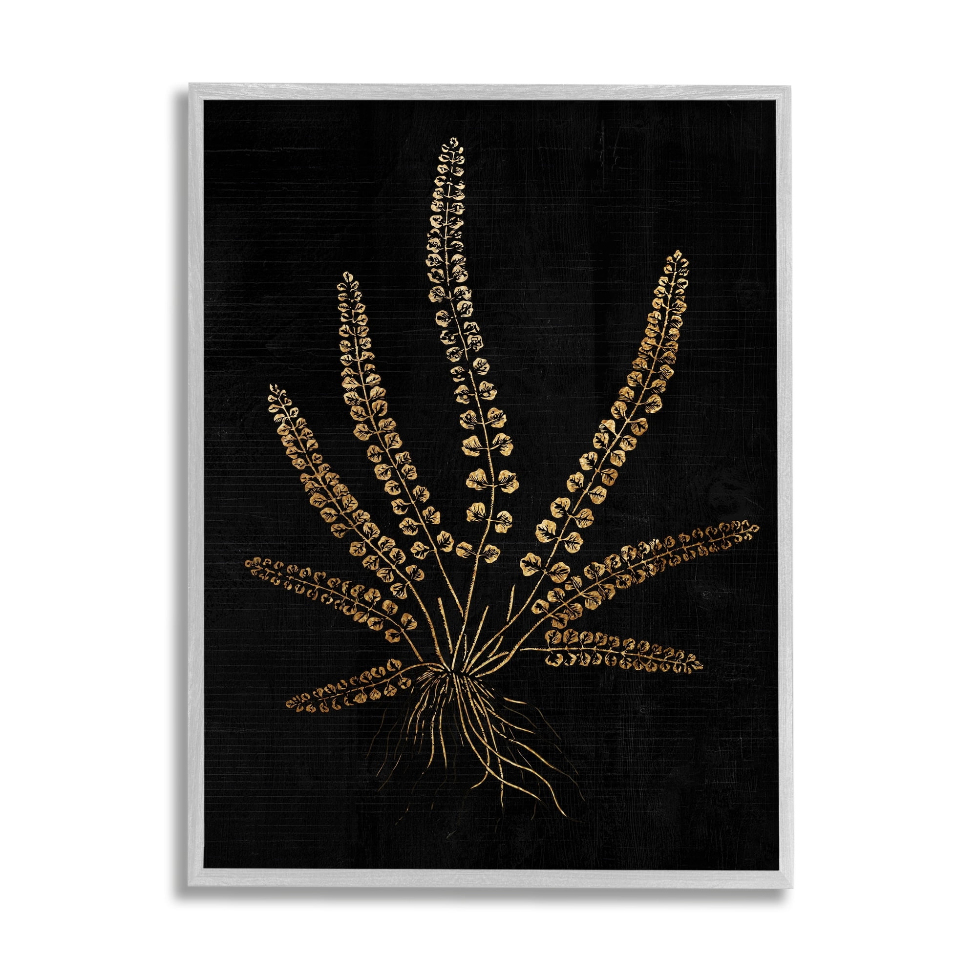 Stupell Industries Vintage Fern Blades Rooted Forest Plant Illustration, 24 x 30, Design by Daphne Polselli