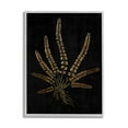 thumbnail image 2 of Stupell Industries Vintage Fern Blades Rooted Forest Plant Illustration, 16 x 20, Design by Daphne Polselli, 2 of 5