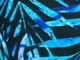 Blue Painterly Leaves