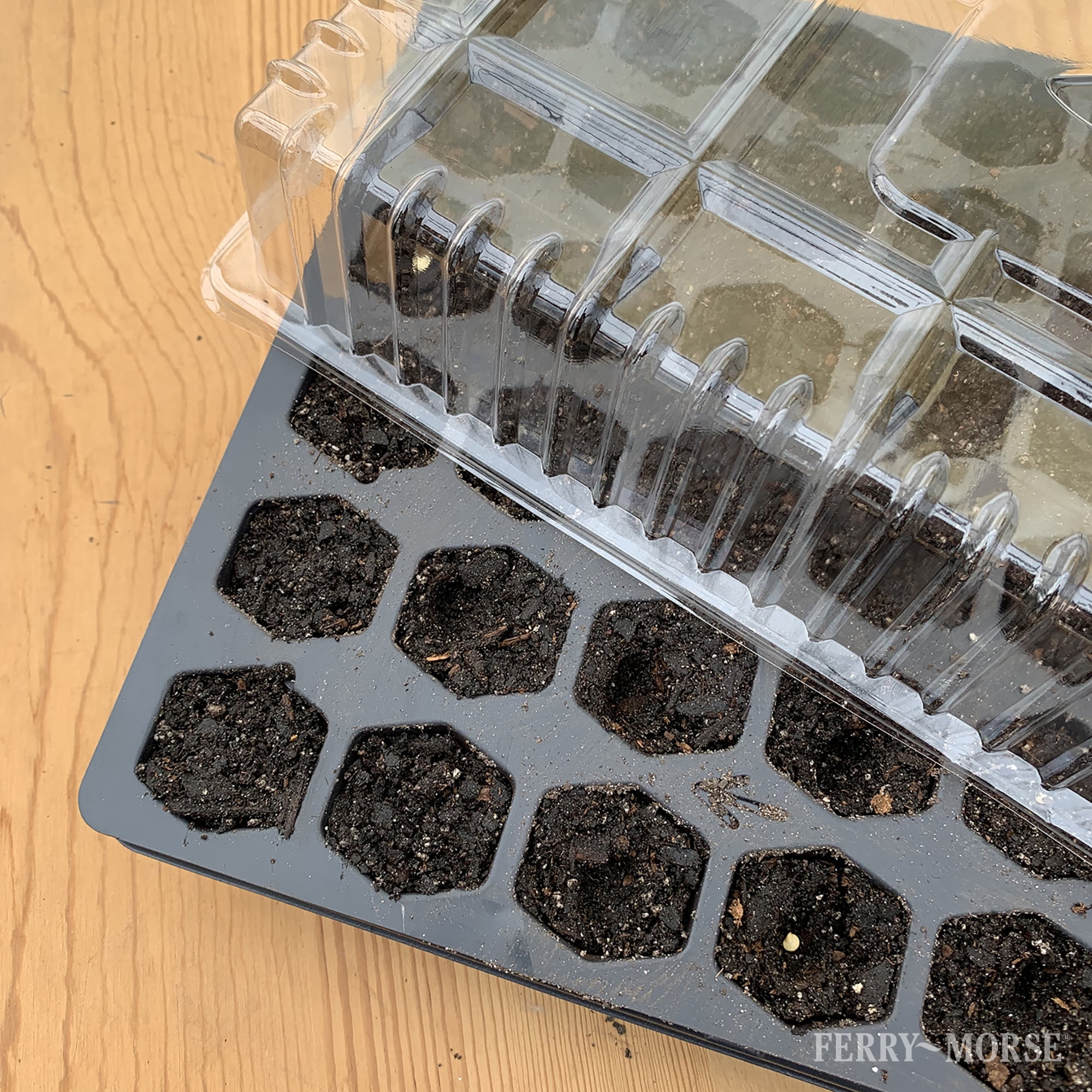 Ferry Morse Pro-Hex Seed Starting Tray 72 Cells - Reusable Plastic Tray