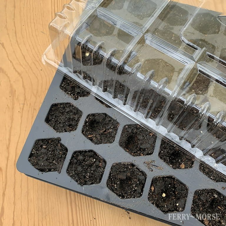 Ferry Morse Pro-Hex Seed Starting Tray 72 Cells - Reusable Plastic