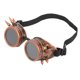 thumbnail image 2 of ABS Industrial Vintage Spiked Steampunk gafas únicas gafas de ciclismo gafas de sol de doble capa a prueba de viento bronce rojo, 2 of 8