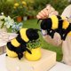 thumbnail image 1 of YiJuHui Realistic Insect Plush Toys, Lifelike Soft Stuffed Animals with Detailed Handmade Craftsmanship, Cuddly Plushies for Collectors, Home Decor, Gifts, Stress Relief and Sensory Play, 1 of 6