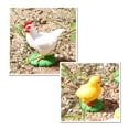 thumbnail image 4 of MesaSe Simulation Insect Plastic Animal Early Growth Preschool Model Miniature Educational Props Cognition Toy for Children, 4 of 9