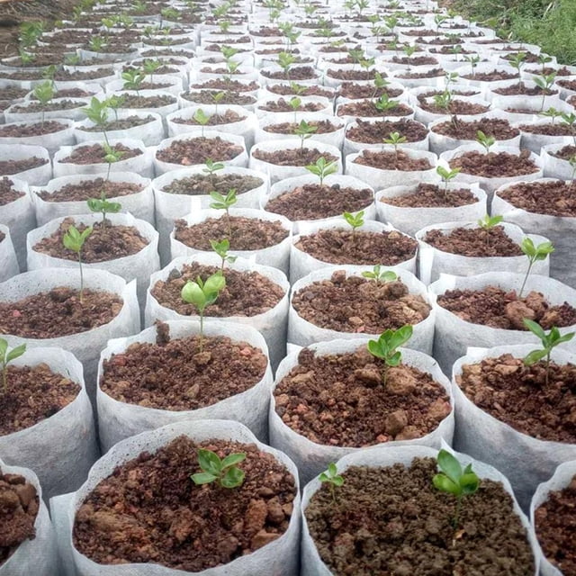 Macetas para plantas de interior Bolsa de cultivo de tela no tejida Bolsas de siembra de tela (M) Likrtyny Para estrenar
