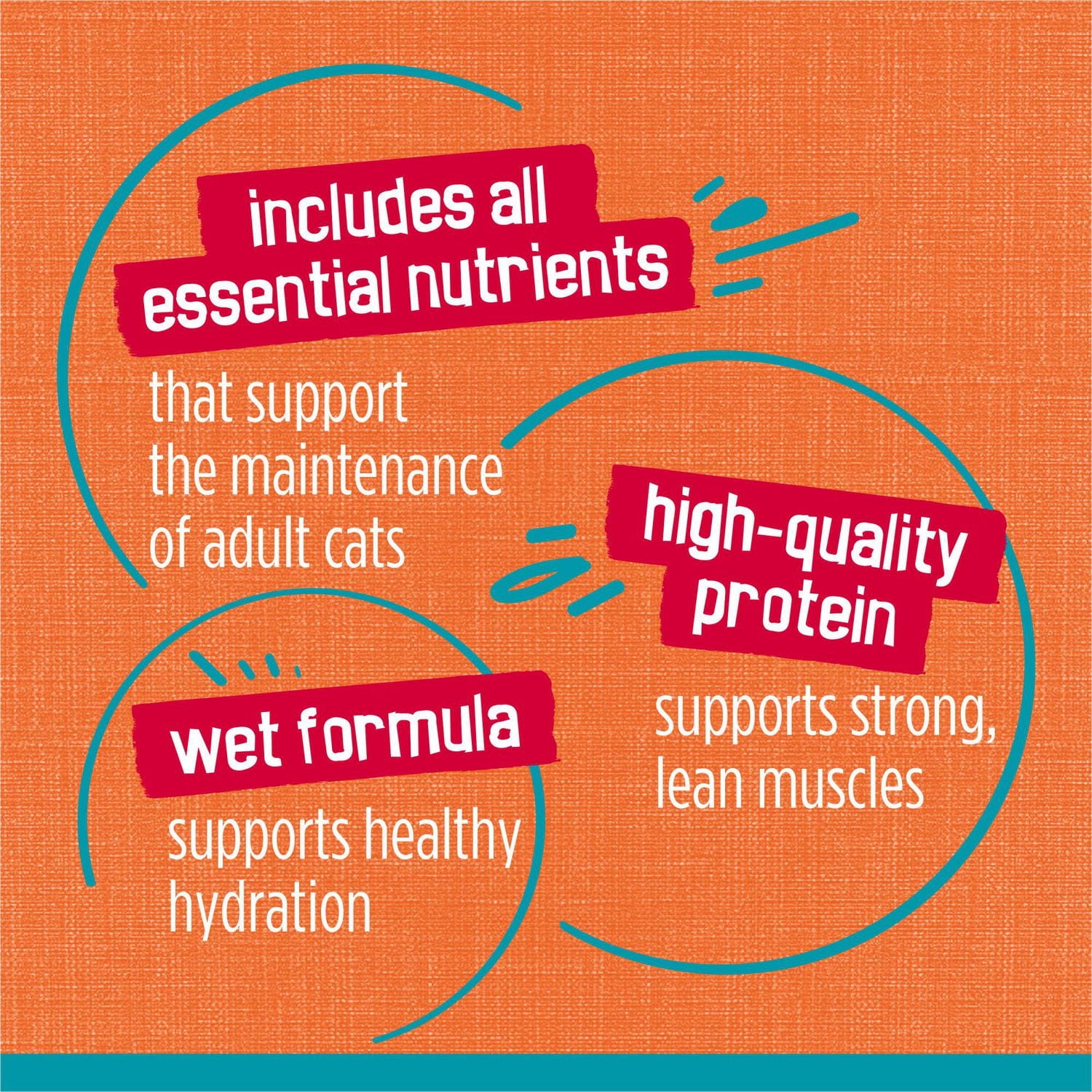 Friskies Tasty Treasures Chicken & Tuna, Wet Cat Food 156g, 156 g