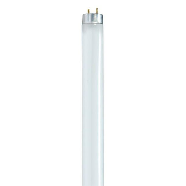 17w sale t8 24