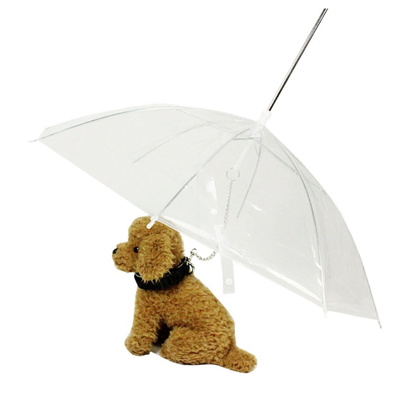 Yinrunx Transparent Pet Dog Umbrella with Leash.Extra Long Handle & Extra Strong Leash & Pre-Assembled.Perfect Gift for Dogs and Pet Lover-30.31（Umbrella Diameter）