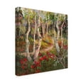 thumbnail image 2 of Trademark Fine Art 'Four Seasons Aspens I' Canvas Art by Nanette Oleson, 2 of 4