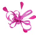 thumbnail image 1 of Looped Flower Net Feather Fascinator Bodas Carreras Baile Damas Accesorios para el cabello Rosado Hugo Clips para el cabello fascinador para las mujeres, 1 of 5