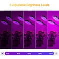 thumbnail image 4 of DONGPAI LED Grow Lights for Indoor Plants, 15W 30W 45W 60W Waterproof Full Spectrum Plant Growing Light for Indoor Plants with Timer, Adjustable Gooseneck for Seedlings Succulents, 4 of 10