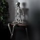 thumbnail image 3 of Teissuly Clearance 5.4 Ft Halloween Skeleton,Life Size Realistic Human Bones,PE,Seven Adjust Joints,Can Be Suspended From Ceiling,Suitable For Halloween(White, 52x40x16cm) Teissuly WER202309090143, 3 of 8
