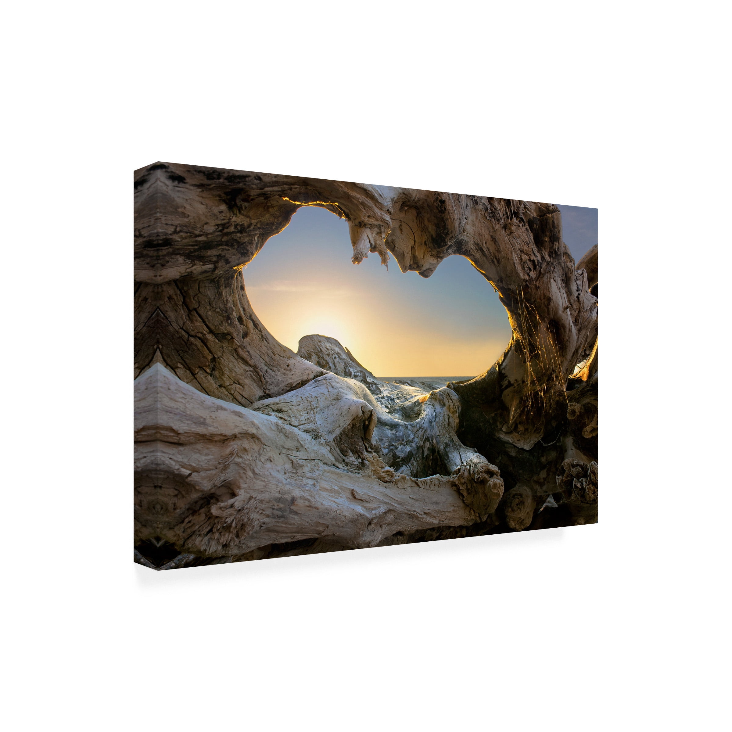 Dmitry Kulagin 'Open The Window' Canvas Art