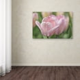 thumbnail image 4 of Trademark Fine Art 'Pink Tulip Baronesse' Canvas Art by Cora Niele, 4 of 4