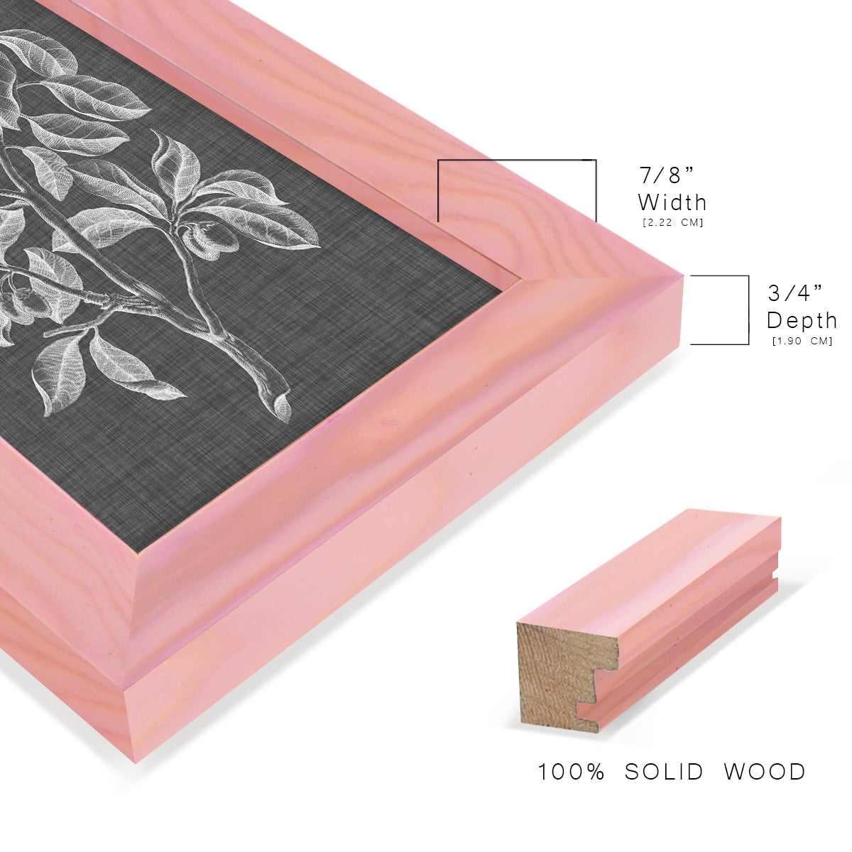 Graphic Foliage I - Framed Print w/glass - Sunset Pink