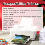 243 244 Ink Cartridges Compatible with Canon Ink 243 and 244 Combo for PG 243 Black for PIXMA MG2522 TS3122 TR4520