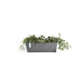 thumbnail image 4 of Ecopots Bruges Durable Modern Rectangular Indoor/Outdoor Recycled Based Composite Flower Pot Planter, Grey, 17.75", 4 of 4