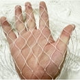 thumbnail image 2 of Heavy Duty Anti Bird Netting ,Nylon Deer Fence Netting, Garden Net and Crops Protective Fencing Mesh for Anti Bird Deer Cat Dog (2cmx2cm cell,1mx5m), 2 of 7