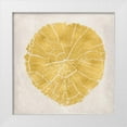 thumbnail image 1 of Murdock, Ramona 20x20 White Modern Wood Framed Museum Art Print Titled - Tree Stump Golden IV, 1 of 4