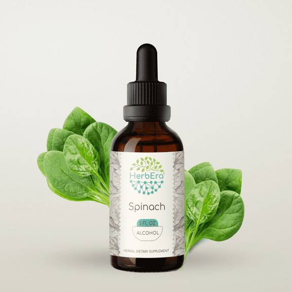 Spinach Alcohol Herbal Extract Tincture, Super-Concentrated Organic Spinach (Spinacia oleracea) Dried Leaf 2 oz