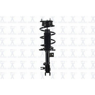 Suspension Strut and Coil Spring Assembly