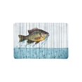 thumbnail image 1 of YUSDECOR Funny Jumping Fish Breaking Free Out of Water Doormat Rug Home Decor Floor Mat Bath Mat 23.6x15.7 inch, 1 of 3