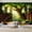 Color 2, variant on Wallpaper Library Tree Sunlit Windows Greenery Bookworm Gifts Fantasy Peel and Stick Wall Murals 69"H x 96"W Removable PVC Wall Paper Self-Adhesive Wall Paintings Art Decor for Bedroom Living Room