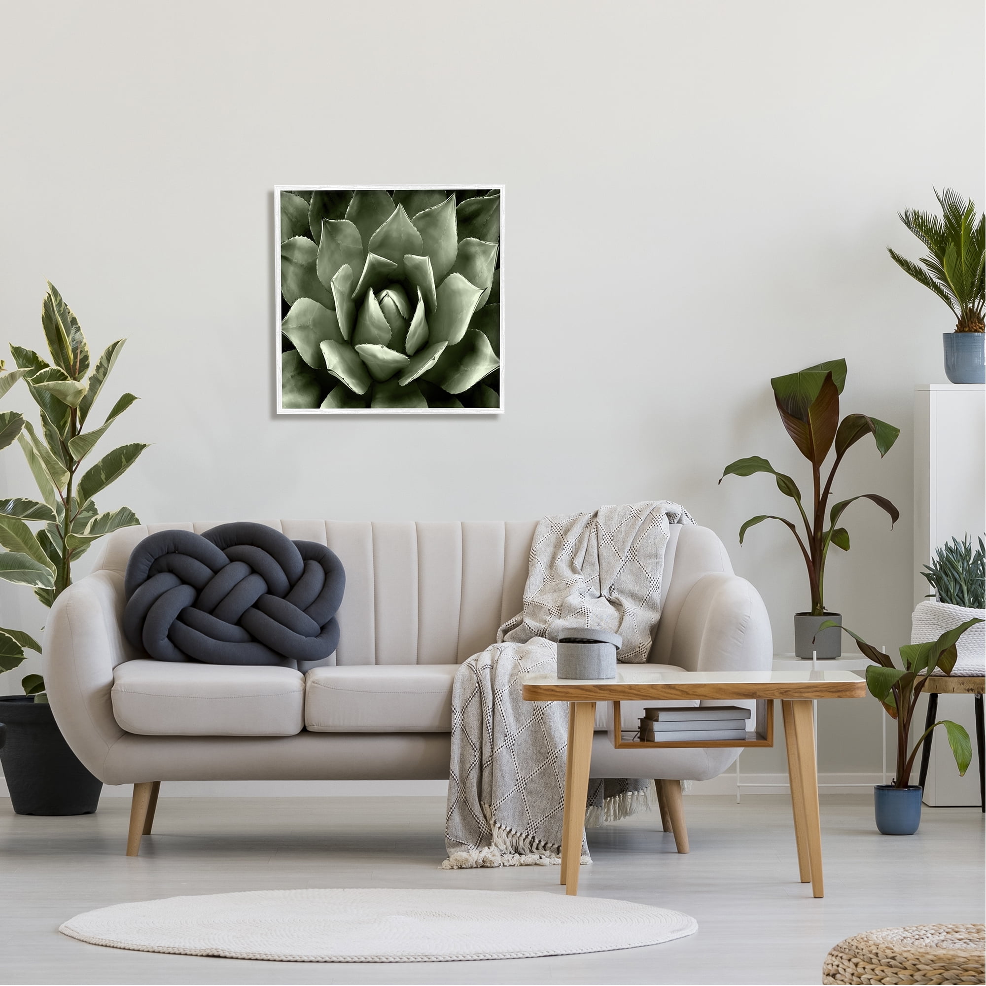 Stupell Industries Succulent Plant Close Up View Botanical & Floral Painting White Framed Art Print Wall Art