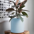 thumbnail image 2 of Bloem Mathers 10" Plastic Planter - Modern Indoor Pot with Drainage Hole and Saucer Tray, Misty Blue, 2 of 6